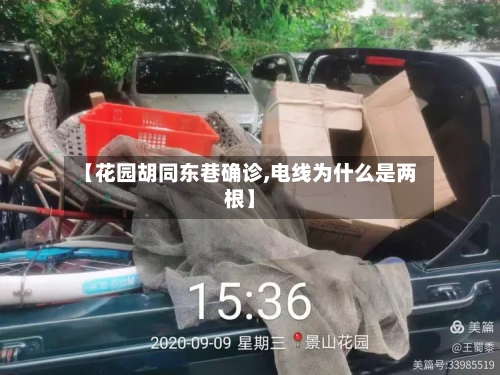【花园胡同东巷确诊,电线为什么是两根】