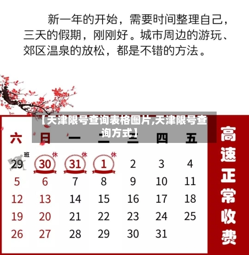 【天津限号查询表格图片,天津限号查询方式】