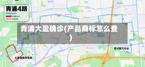 青浦大盈确诊(产品商标怎么查)