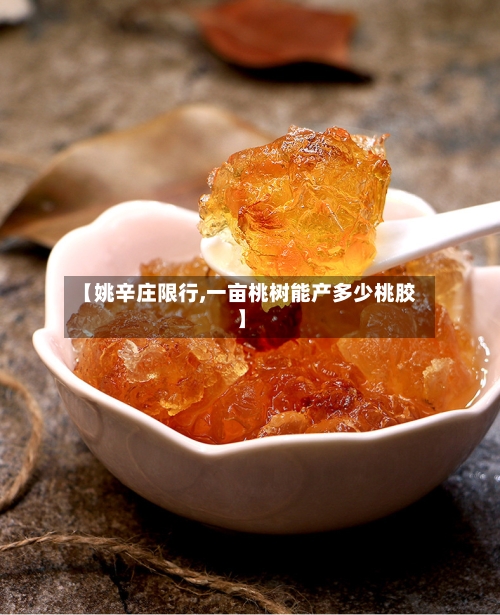 【姚辛庄限行,一亩桃树能产多少桃胶】