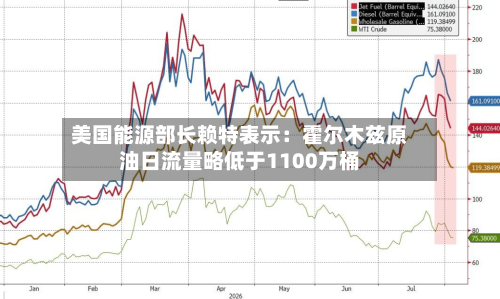 美国能源部长赖特表示：霍尔木兹原油日流量略低于1100万桶