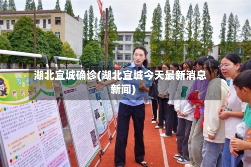 湖北宜城确诊(湖北宜城今天最新消息新闻)