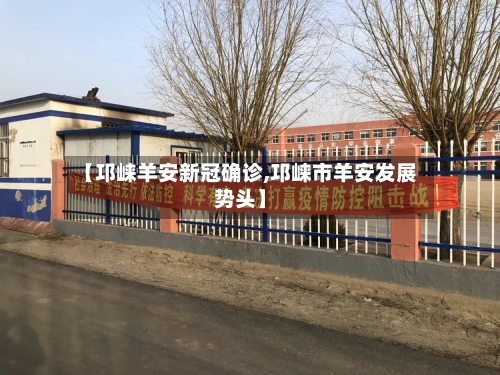 【邛崃羊安新冠确诊,邛崃市羊安发展势头】