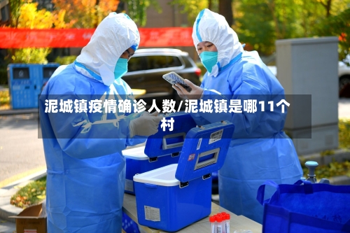 泥城镇疫情确诊人数/泥城镇是哪11个村