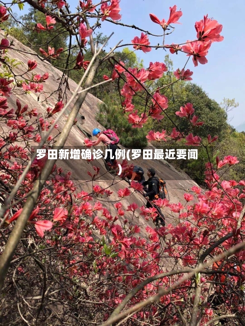 罗田新增确诊几例(罗田最近要闻)