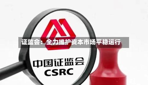 证监会：全力维护资本市场平稳运行
