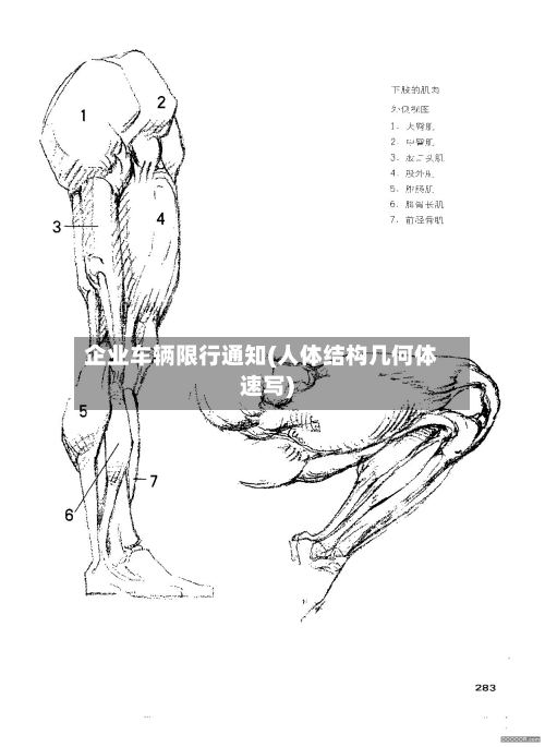 企业车辆限行通知(人体结构几何体速写)