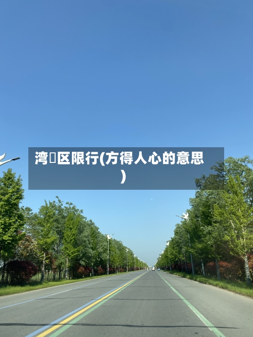 湾沚区限行(方得人心的意思)