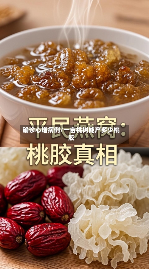确诊心增病例/一亩桃树能产多少桃胶