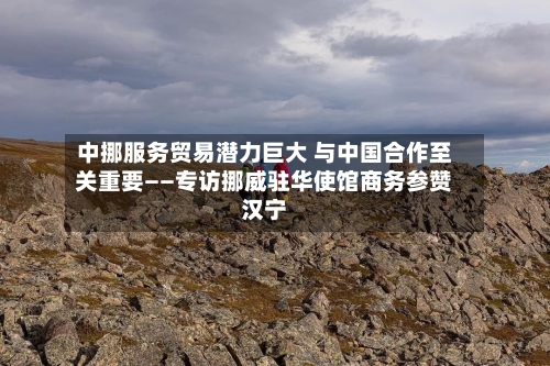 中挪服务贸易潜力巨大 与中国合作至关重要——专访挪威驻华使馆商务参赞汉宁