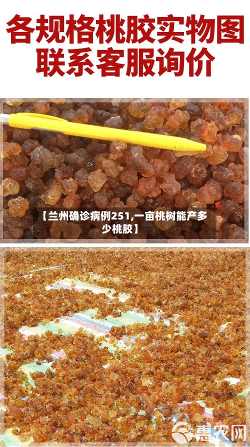 【兰州确诊病例251,一亩桃树能产多少桃胶】