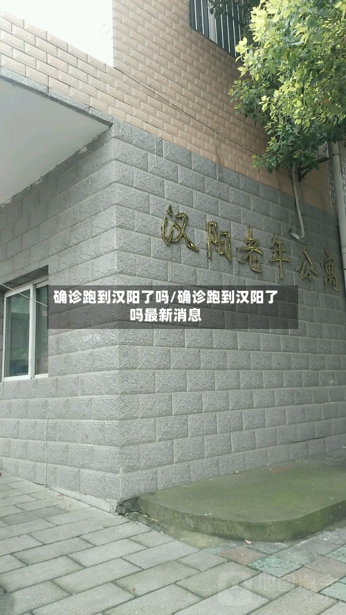 确诊跑到汉阳了吗/确诊跑到汉阳了吗最新消息