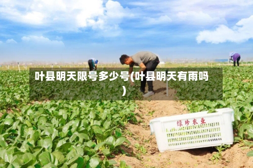 叶县明天限号多少号(叶县明天有雨吗)