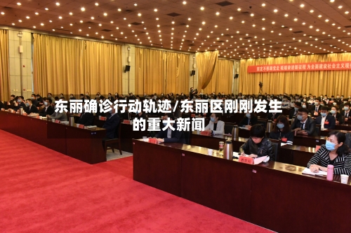 东丽确诊行动轨迹/东丽区刚刚发生的重大新闻