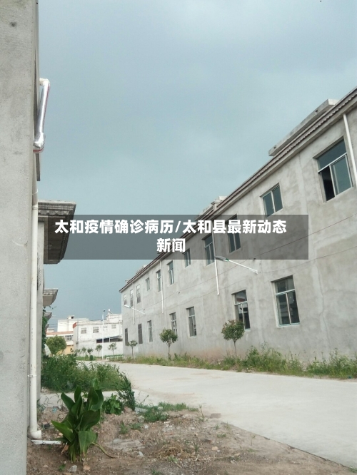 太和疫情确诊病历/太和县最新动态新闻