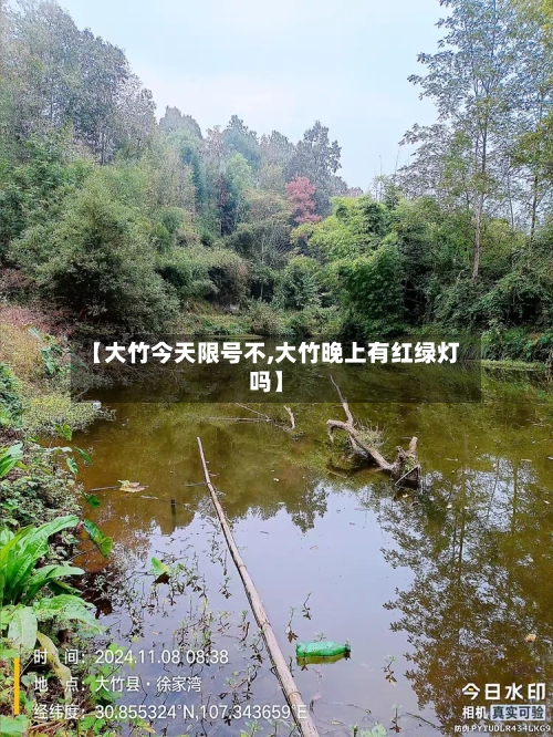 【大竹今天限号不,大竹晚上有红绿灯吗】