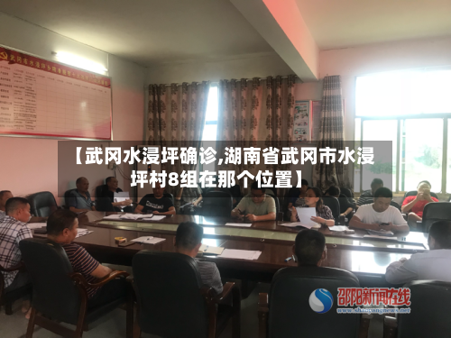 【武冈水浸坪确诊,湖南省武冈市水浸坪村8组在那个位置】