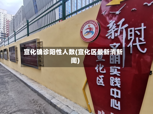 宣化确诊阳性人数(宣化区最新消新闻)
