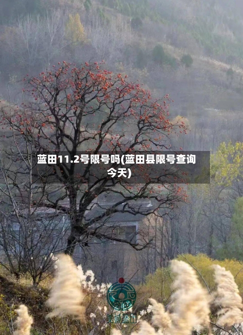 蓝田11.2号限号吗(蓝田县限号查询今天)