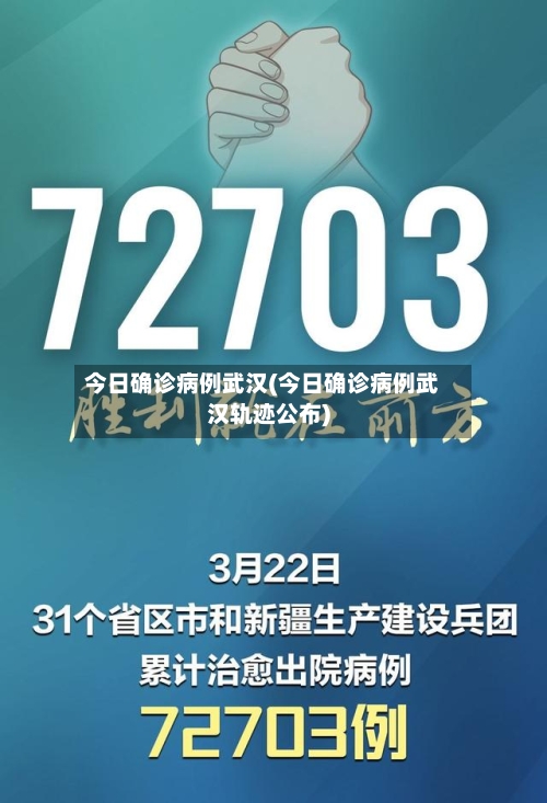 今日确诊病例武汉(今日确诊病例武汉轨迹公布)