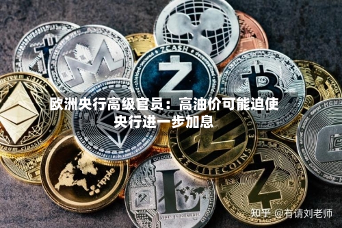 欧洲央行高级官员：高油价可能迫使央行进一步加息