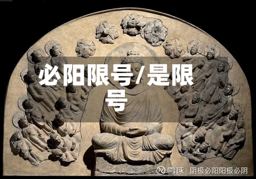 必阳限号/是限号