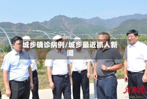 城步确诊病例/城步最近抓人新闻