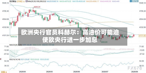 欧洲央行官员科赫尔：高油价可能迫使欧央行进一步加息