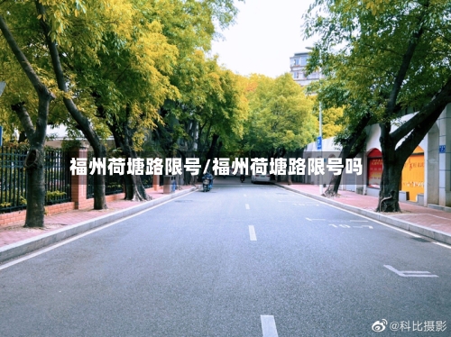 福州荷塘路限号/福州荷塘路限号吗