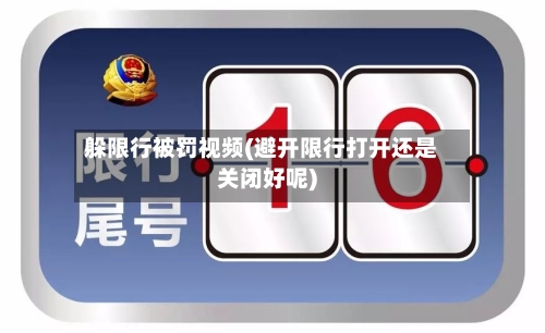 躲限行被罚视频(避开限行打开还是关闭好呢)