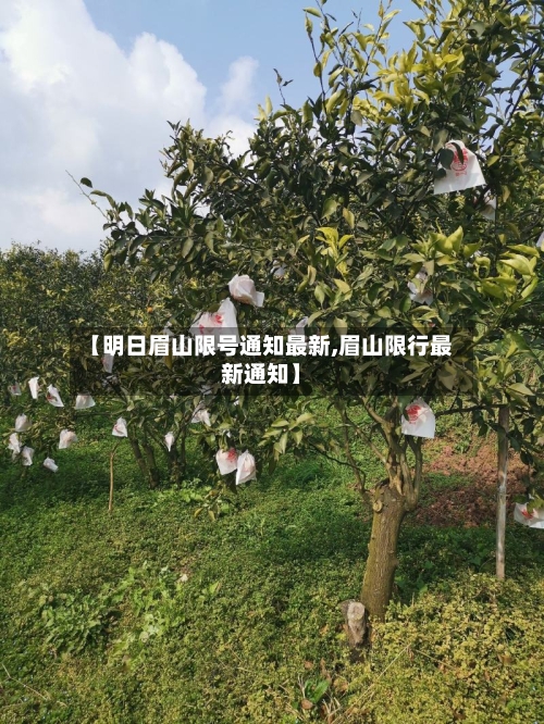 【明日眉山限号通知最新,眉山限行最新通知】