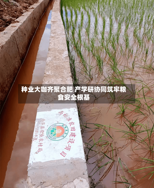 种业大咖齐聚合肥 产学研协同筑牢粮食安全根基