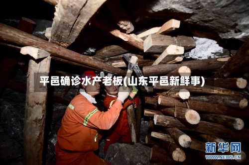 平邑确诊水产老板(山东平邑新鲜事)