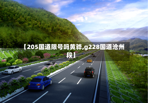 【205国道限号吗黄骅,g228国道沧州段】