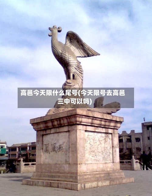 高邑今天限什么尾号(今天限号去高邑三中可以吗)