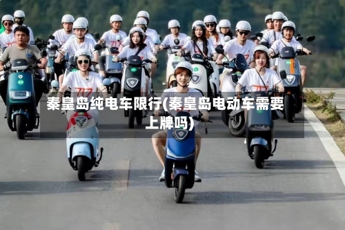 秦皇岛纯电车限行(秦皇岛电动车需要上牌吗)