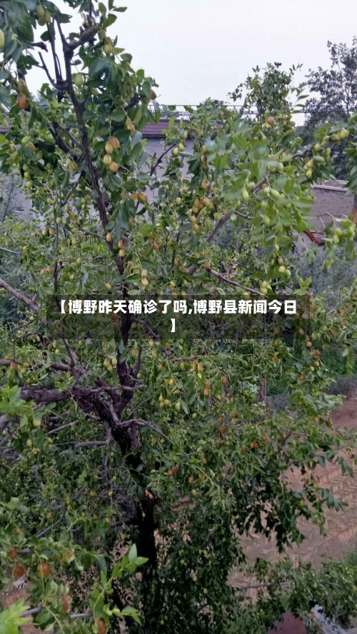 【博野昨天确诊了吗,博野县新闻今日】
