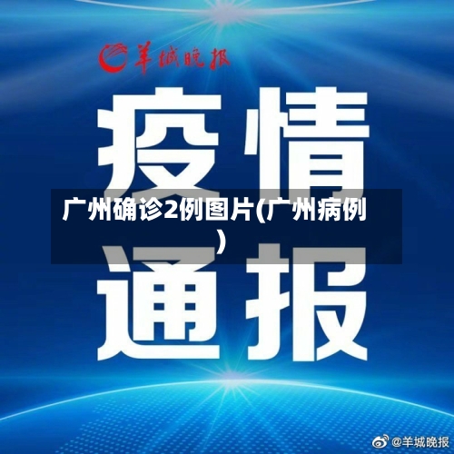 广州确诊2例图片(广州病例)