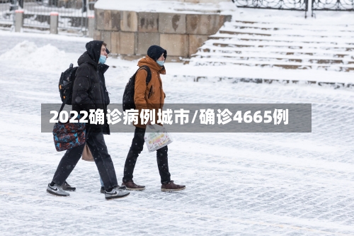 2022确诊病例城市/确诊4665例