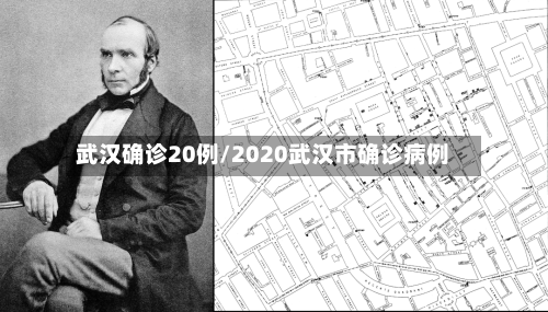 武汉确诊20例/2020武汉市确诊病例