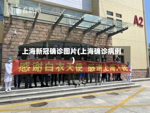 上海新冠确诊图片(上海确诊病例)