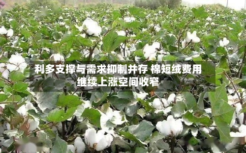 利多支撑与需求抑制并存 棉短绒费用
继续上涨空间收窄-第1张图片