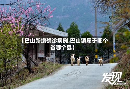 【巴山新增确诊病例,巴山镇属于哪个省哪个县】