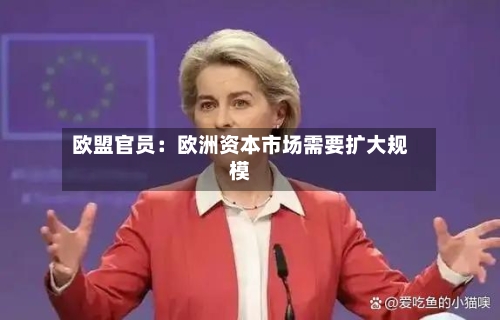 欧盟官员：欧洲资本市场需要扩大规模