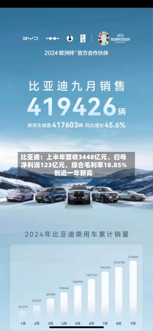 比亚迪：上半年营收3448亿元、归母净利润123亿元，综合毛利率18.85%创近一年新高