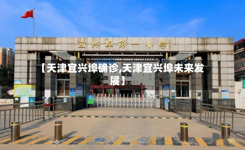 【天津宜兴埠确诊,天津宜兴埠未来发展】