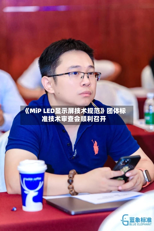 《MiP LED显示屏技术规范》团体标准技术审查会顺利召开