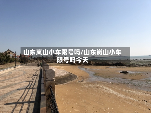 山东岚山小车限号吗/山东岚山小车限号吗今天