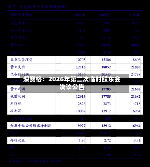 深赛格：2026年第二次临时股东会决议公告