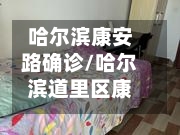 哈尔滨康安路确诊/哈尔滨道里区康安路198号